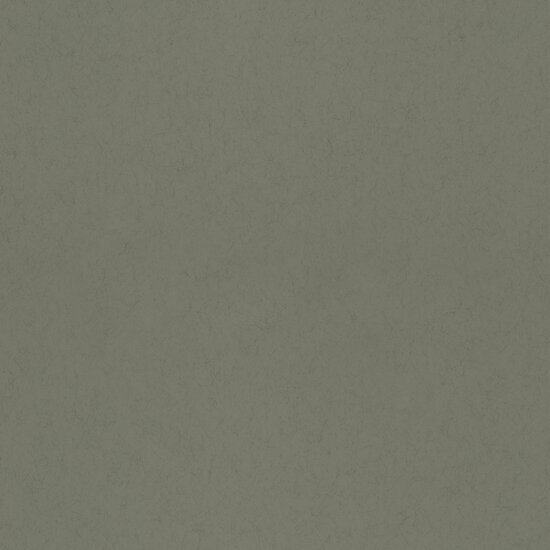 Dutch First Class Midbec Kul&ouml;r FC77008 Behang