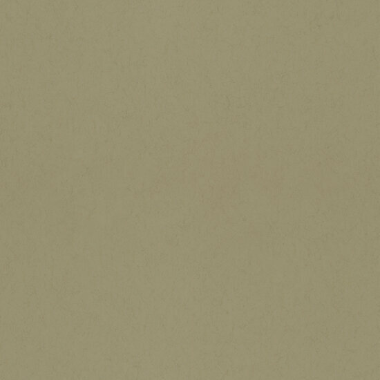 Dutch First Class Midbec Kul&ouml;r FC77009 Behang