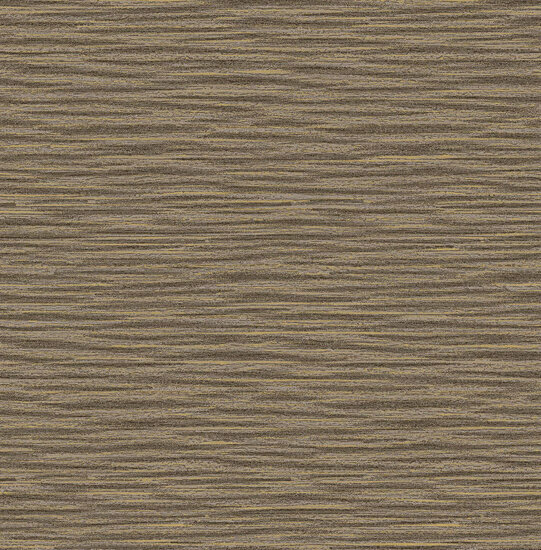 Dutch First Class Thom bruin TH0601 Behang