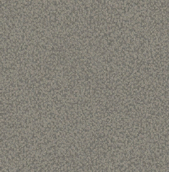 Dutch First Class Thom zilver TH0701 Behang