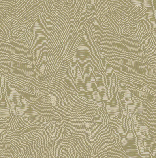 Dutch First Class Thom goud TH9921 Behang