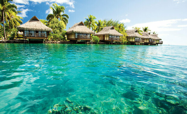 FBK Landschap Fotobehang 224 Behang