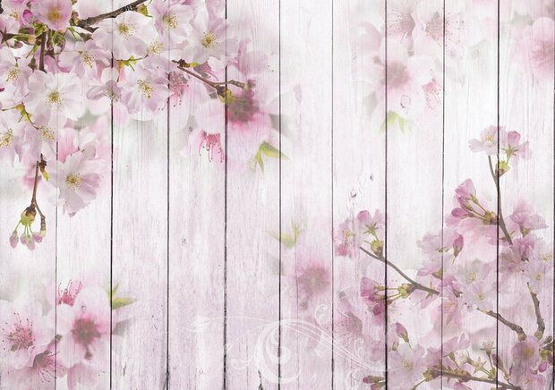 FBK Hout Cherry Blossom Fotobehang 11468 Behang
