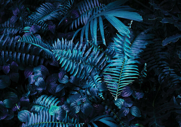 FBK Botanisch Fotobehang 12664 Behang