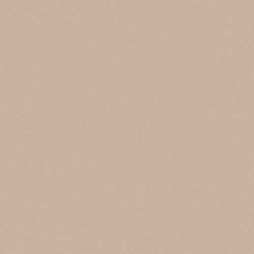 Dutch Wall Decor Hav &amp; Land 221-28 Bruin Behang