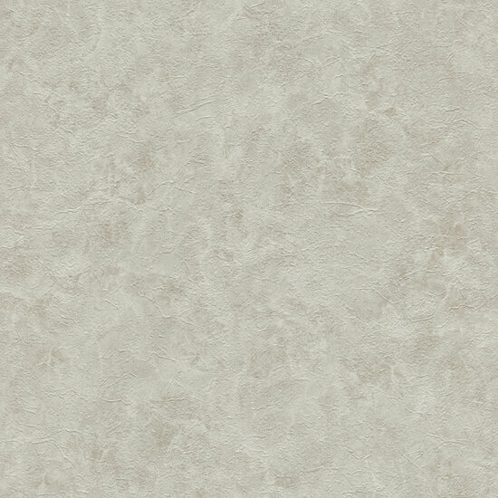 Dutch Wall Decor Splendor Z21703 Grijs Behang