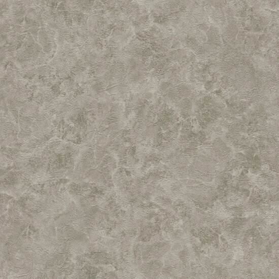 Dutch Wall Decor Splendor Z21707 Grijs Behang