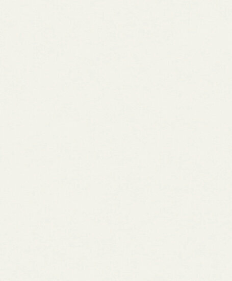 Dutch Wallcoverings Attitude A65601 Wit Behang