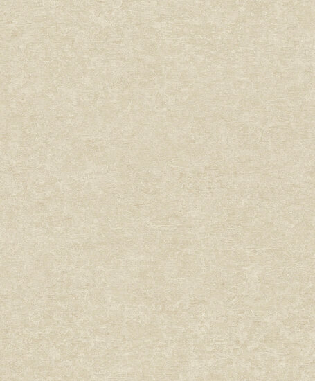Dutch Wallcoverings Attitude A65603 Beige Behang