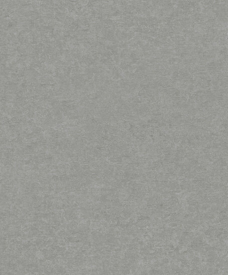 Dutch Wallcoverings Attitude A65606 Grijs Behang