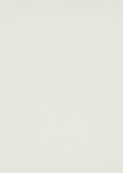 Dutch Wall Decor Aruba 10393-01 / AR102701 Wit Behang