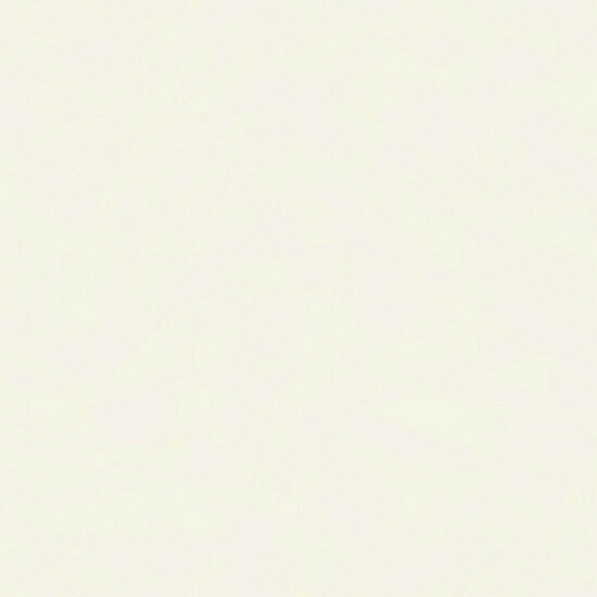 HookedOnWalls Silhouette Tadelakt Plain 34800 Cr&egrave;me Behang