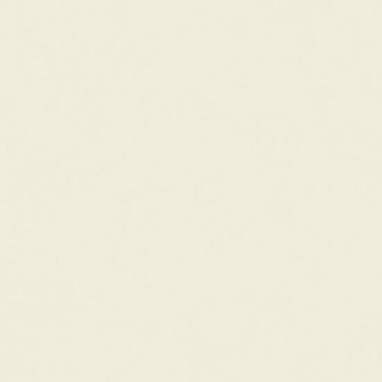 HookedOnWalls Silhouette Tadelakt Plain 34801 Cr&egrave;me Behang