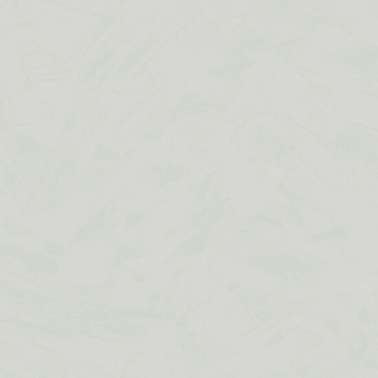 HookedOnWalls Silhouette Tadelakt Plain 34803 Grijs Behang