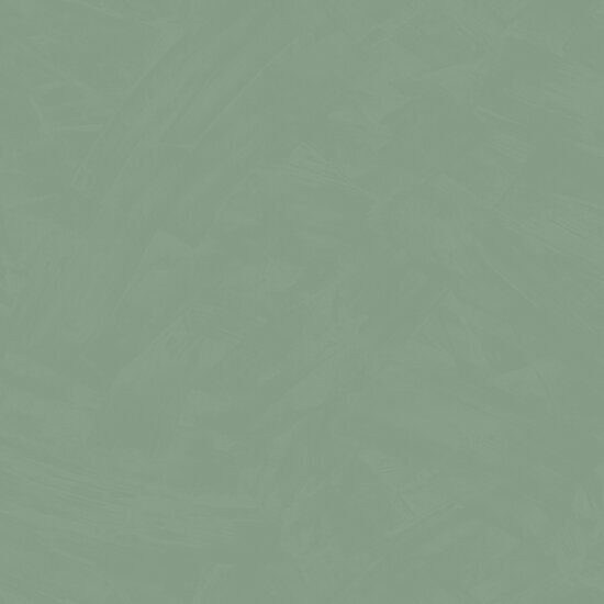 HookedOnWalls Silhouette Tadelakt Plain 34812 Groen Behang