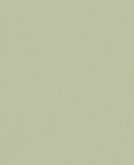 HookedOnWalls Tropical Weave Ines 18808 Groen / Metallic Behang