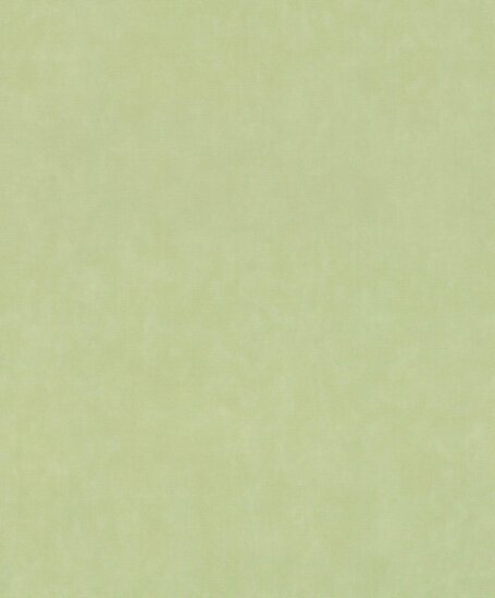 Rasch Paraiso - 330052 Groen Behang