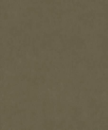 Rasch Paraiso - 330120 Groen Behang