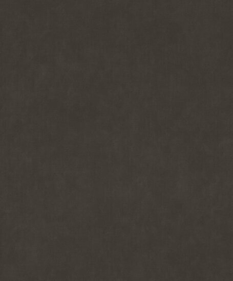 Rasch Paraiso - 330151 Zwart Behang