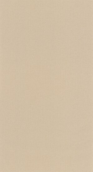 Caselio Outlines OTLS64522412 - Beige Behang