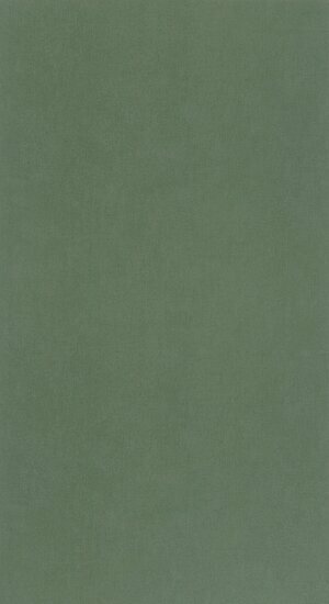 Caselio Outlines OTLS64524044 - Groen Behang