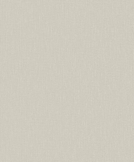 HookedOnWalls NEUTRALIZER 01 31608 Grijs Behang