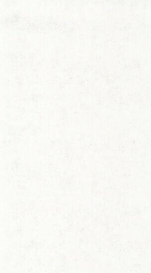 Caselio Beton 2 BTO101480000 - Wit Behang