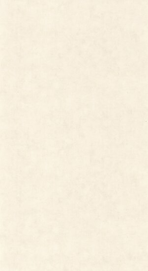 Caselio Beton 2 BTO101480010 - Wit Behang