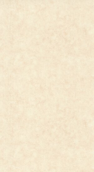 Caselio Beton 2 BTO101481123 - Beige Behang