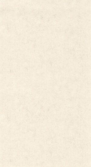Caselio Beton 2 BTO101481258 - Beige Behang