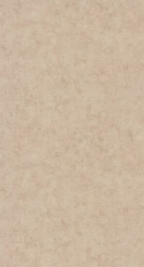 Caselio Beton 2 BTO101482213 - Bruin Behang