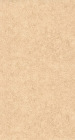 Caselio Beton 2 BTO101482446 - Beige Behang
