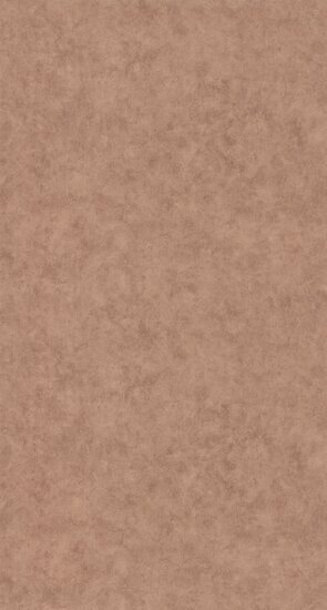 Caselio Beton 2 BTO101482666 - Bruin Behang