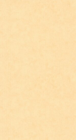 Caselio Beton 2 BTO101483100 - Oranje Behang