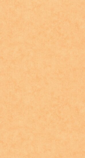 Caselio Beton 2 BTO101483250 - Oranje Behang