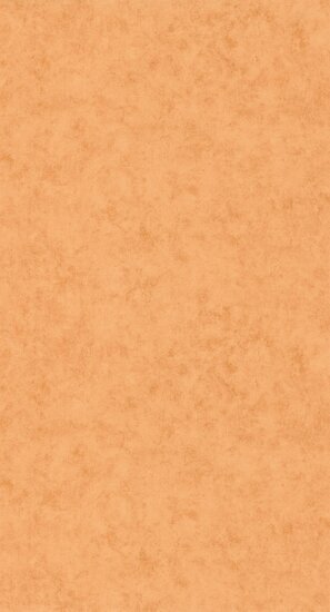 Caselio Beton 2 BTO101483312 - Oranje Behang