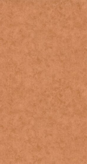 Caselio Beton 2 BTO101483434 - Oranje Behang