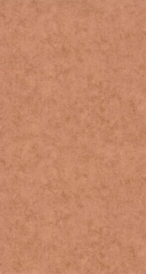 Caselio Beton 2 BTO101483522 - Bruin Behang