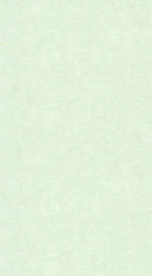 Caselio Beton 2 BTO101487042 - Groen Behang