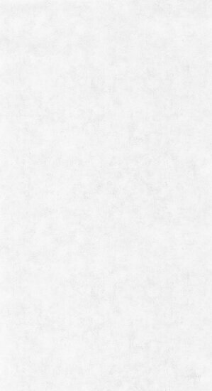 Caselio Beton 2 BTO101489000 - Grijs Behang