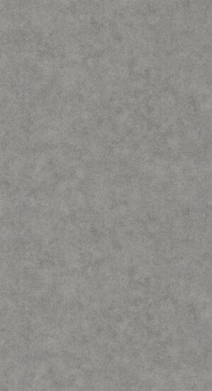 Caselio Beton 2 BTO101489600 - Grijs Behang
