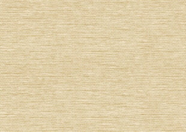 Arte Essentials Totem LE PAPIER TISSE 60501B Beige Behang