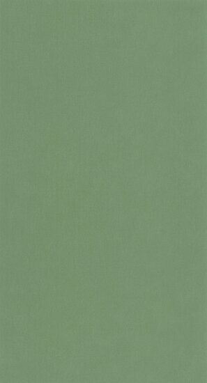 Caselio Flower Power FLP64527170 - Groen Behang