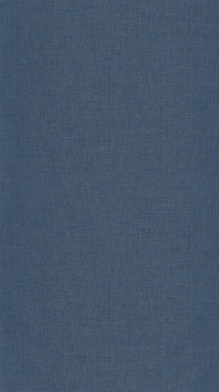 Caselio XXL XXL103236032 - Blauw Behang