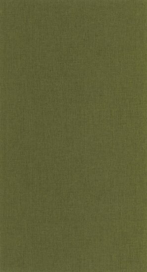 Caselio XXL XXL103227549 - Groen Behang