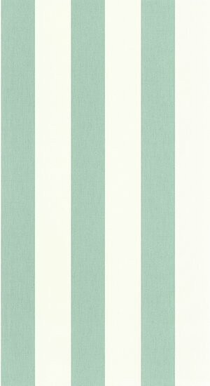 Caselio Basics BAI104047100 - Groen Behang