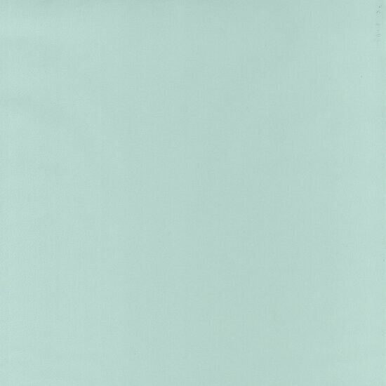 Caselio Basics BAI64527007 - Groen Behang