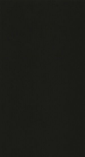 Caselio Basics BAI64529800 - Zwart Behang