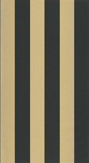 Caselio Basics BAI104029329 - Zwart Behang