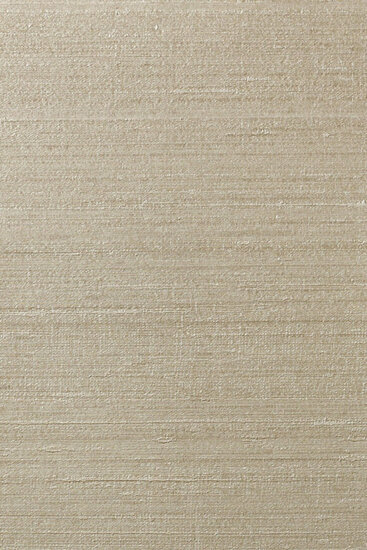 Arte Silkx 67004 Behang